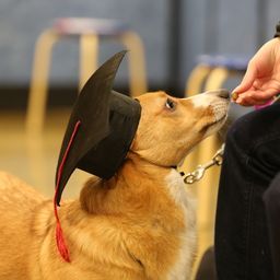 photograph by PeterW